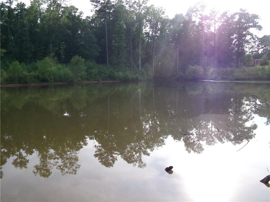 14-ac Youth Jersey Road Covington, GA 30014 - Photo 36 of 42 a view of a lake from a yard