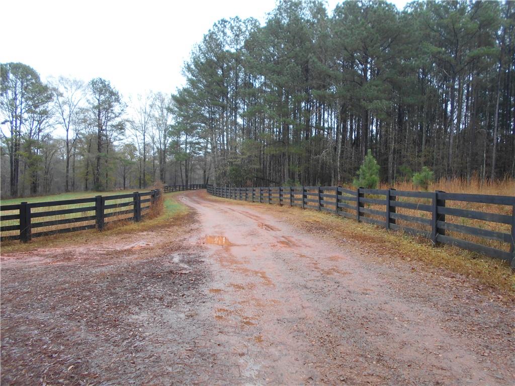 14-ac Youth Jersey Road Covington, GA 30014 - Photo 4 of 42 a view of outdoor space with trees