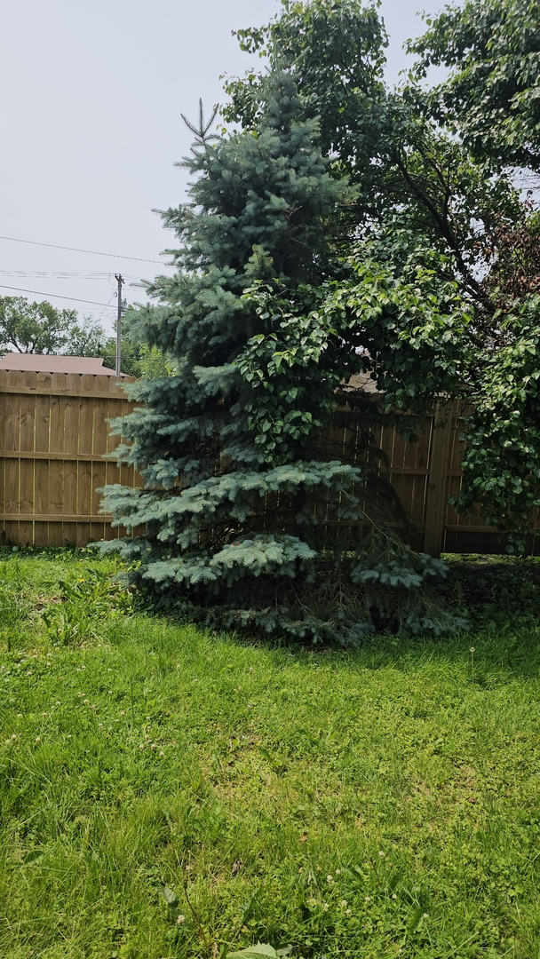 309 North Market Street Hoopeston, IL 60942 - Photo 24 of 45 a view of a backyard