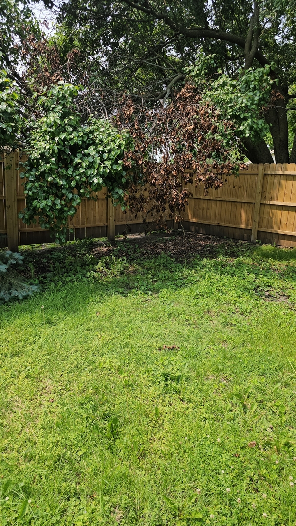 309 North Market Street Hoopeston, IL 60942 - Photo 25 of 45 a backyard of a house with lots of green space