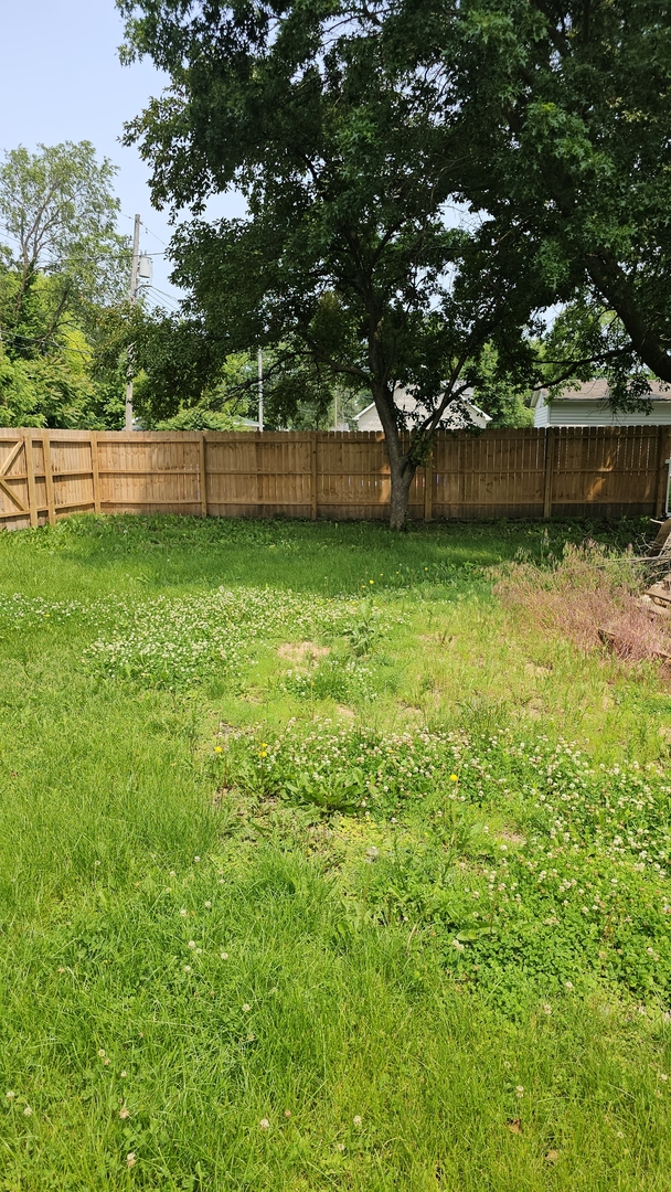 309 North Market Street Hoopeston, IL 60942 - Photo 28 of 45 a view of a yard with a tree
