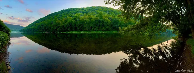 a view of a lake from a yard