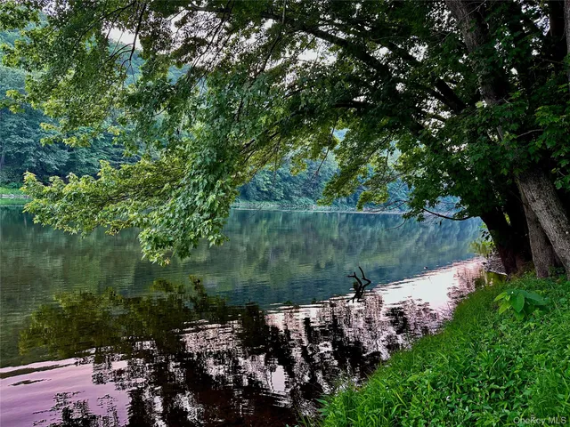 a view of a lake with a tree