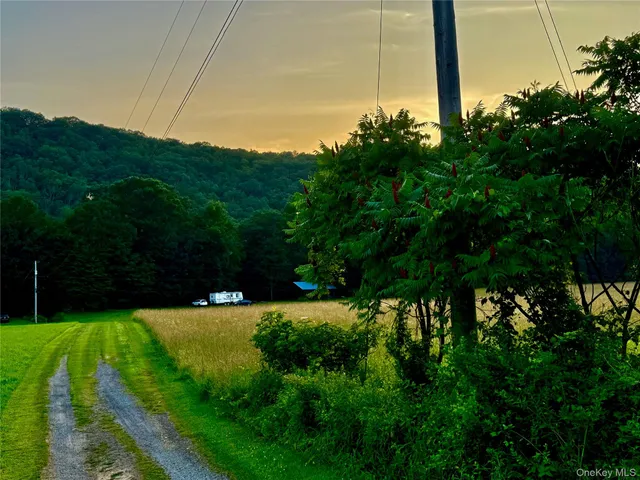 a view of yard with grass and trees