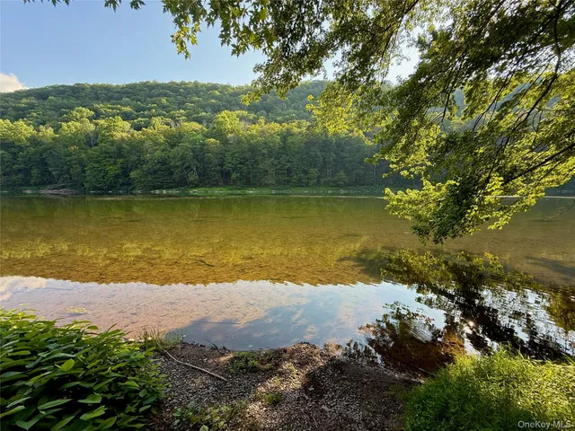 a view of a yard with plants and large trees