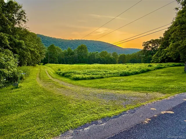a view of a field with a big yard