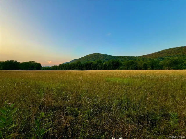 a view of a grassy field with trees