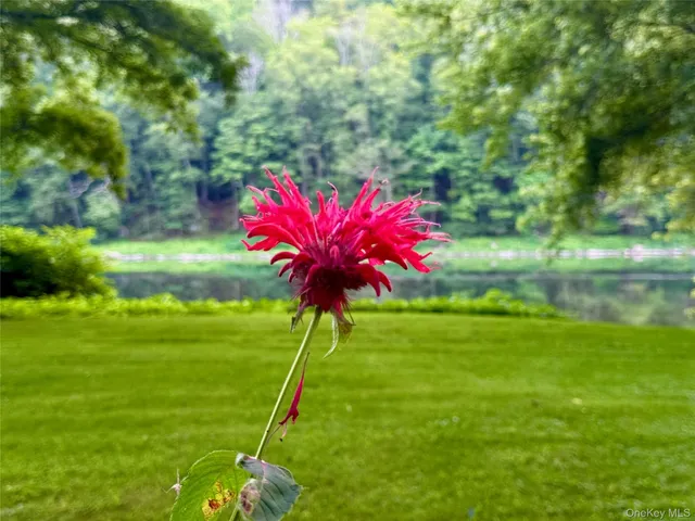 a view of lake with green space