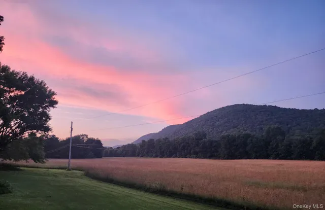 a view of backyard with green space