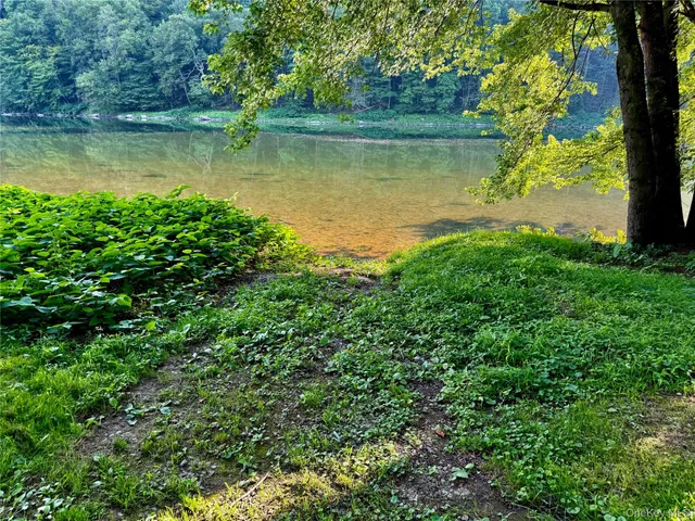 a view of a lake with a yard and large trees