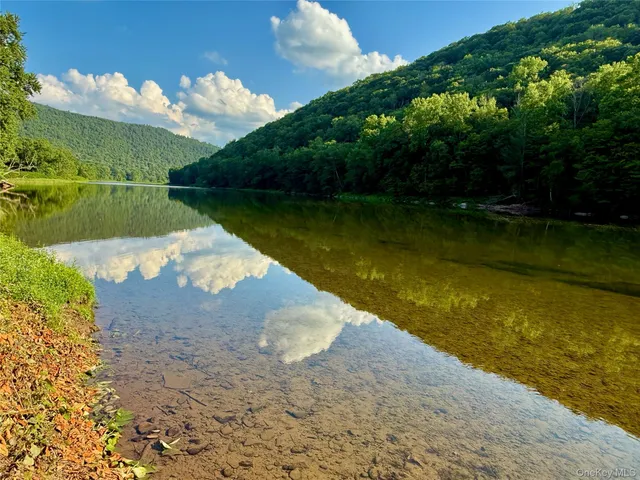 a view of a lake in middle of the forest