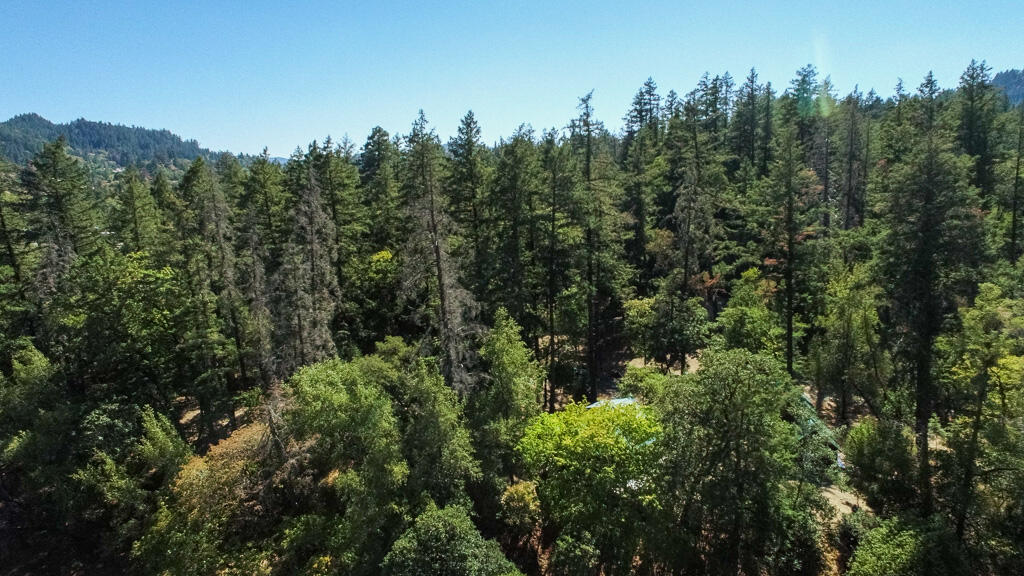 0 Bear Canyon Road Garberville, CA 95542 - Photo 84 of 107 Bear Canyon Aerial-11