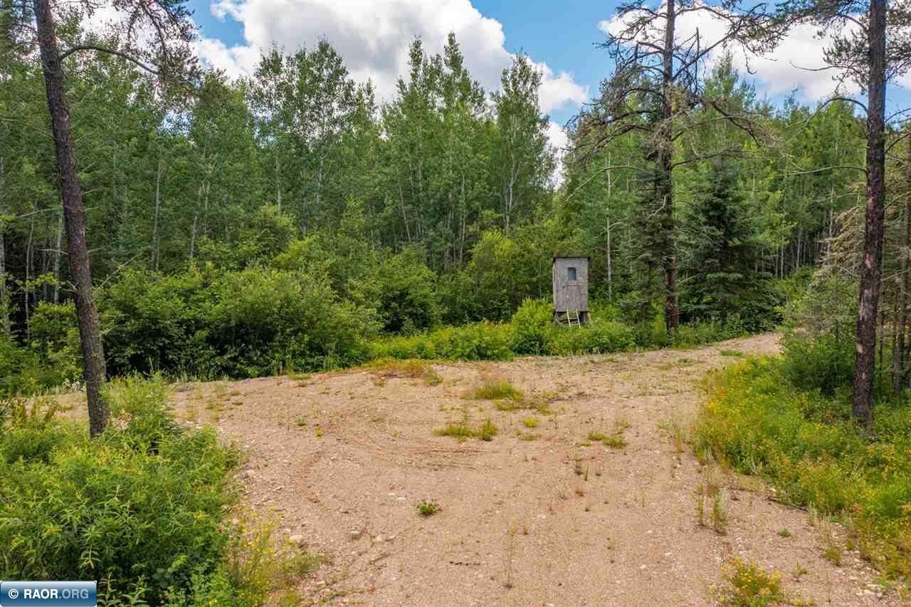 Tbd Wakely Road Cook, MN 55723 - Photo 3 of 14