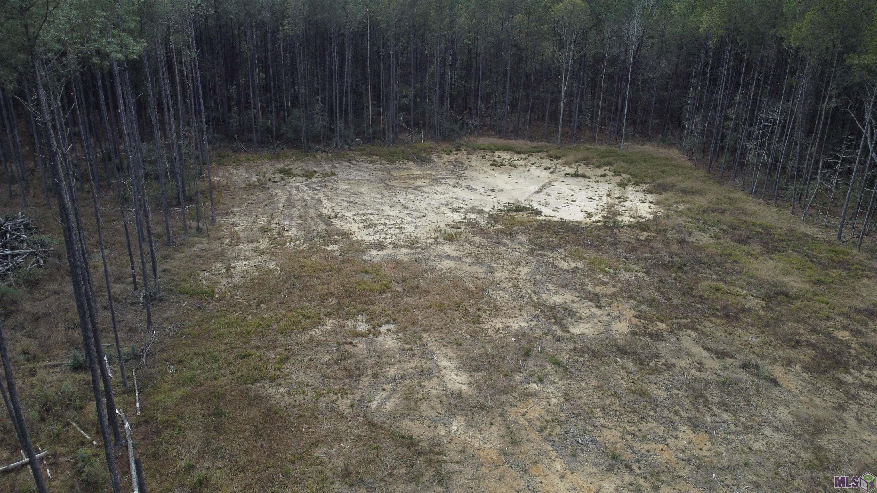 Lot 37 Nesom Road Denham Springs, LA 70706 - Photo 2 of 7