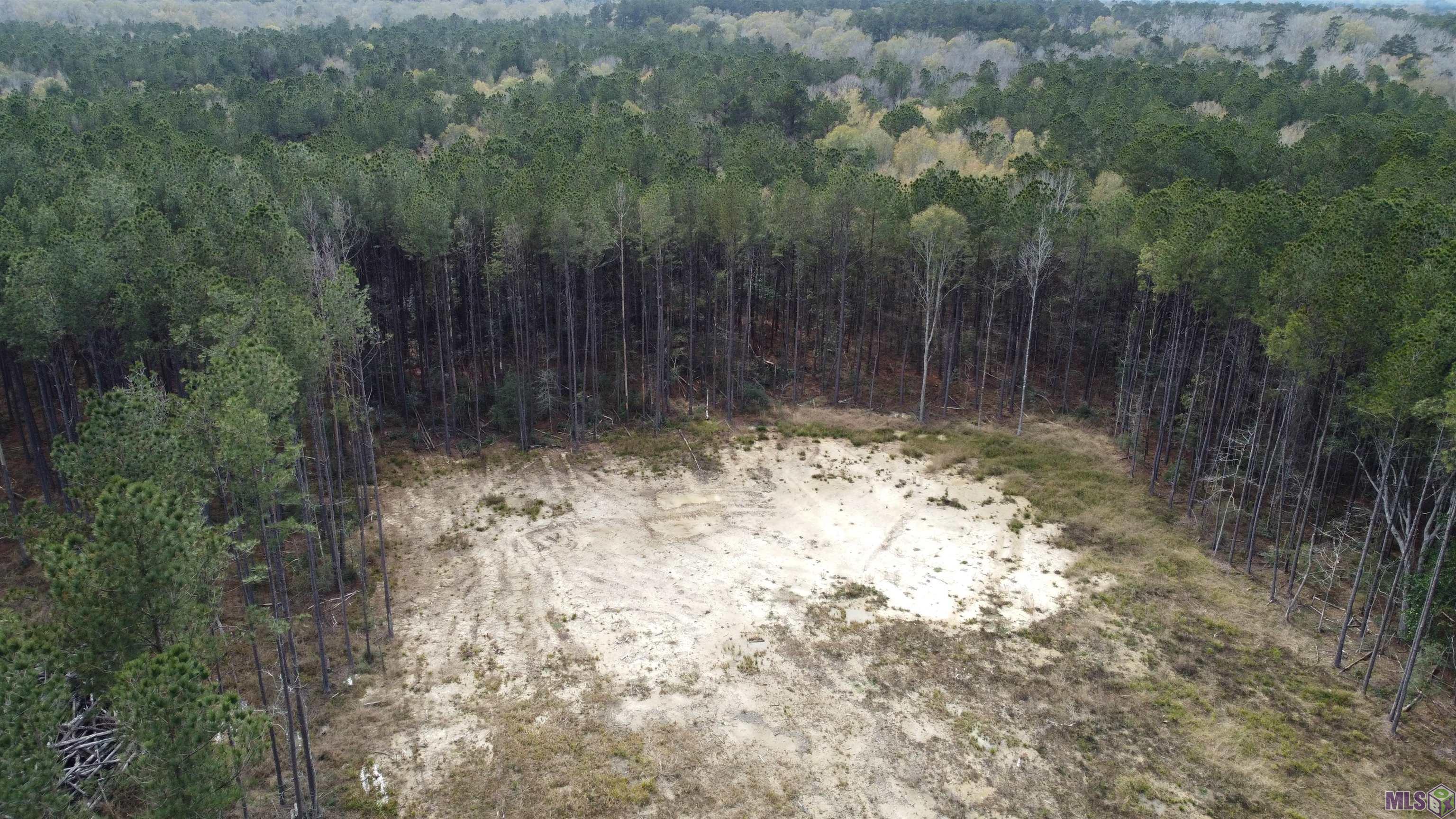 Lot 37 Nesom Road Denham Springs, LA 70706 - Photo 3 of 7