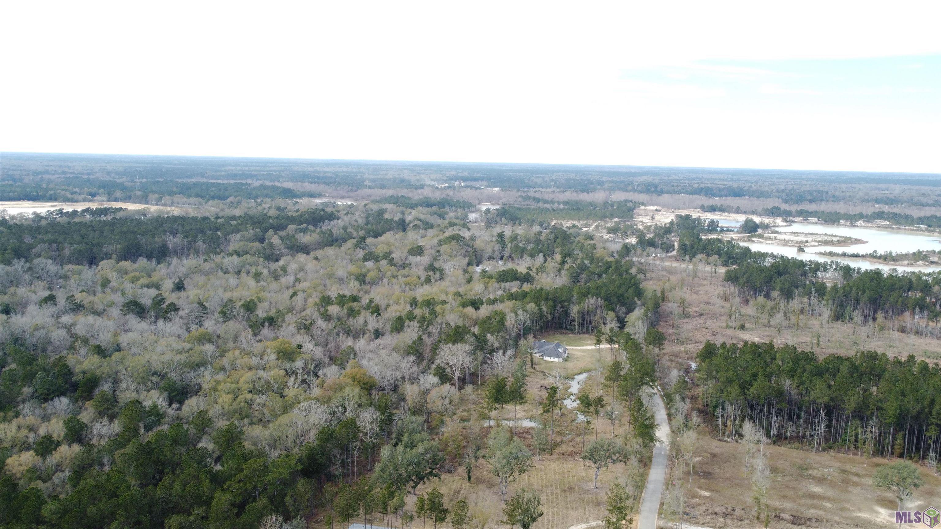 Lot 37 Nesom Road Denham Springs, LA 70706 - Photo 5 of 7