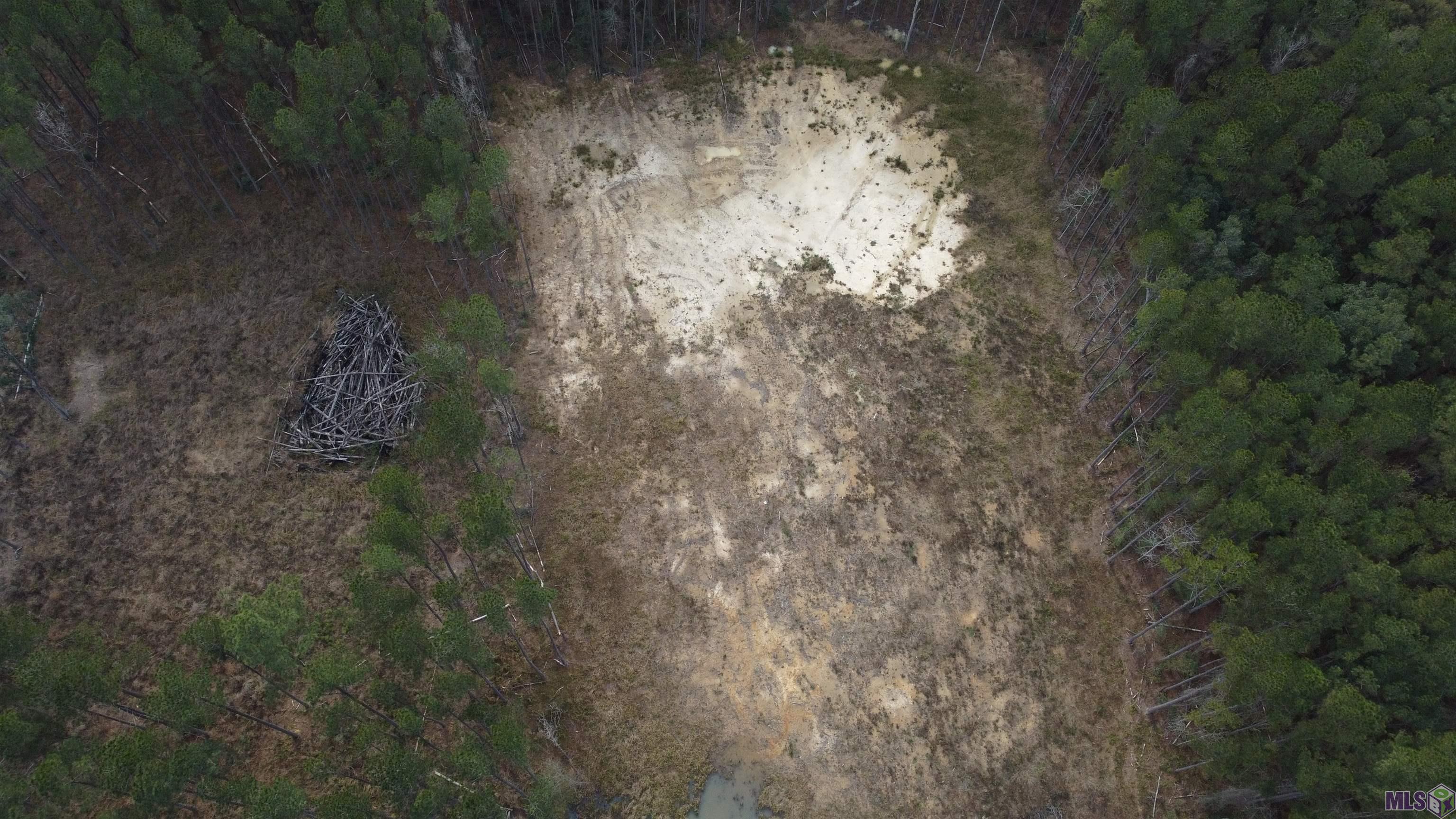 Lot 37 Nesom Road Denham Springs, LA 70706 - Photo 6 of 7