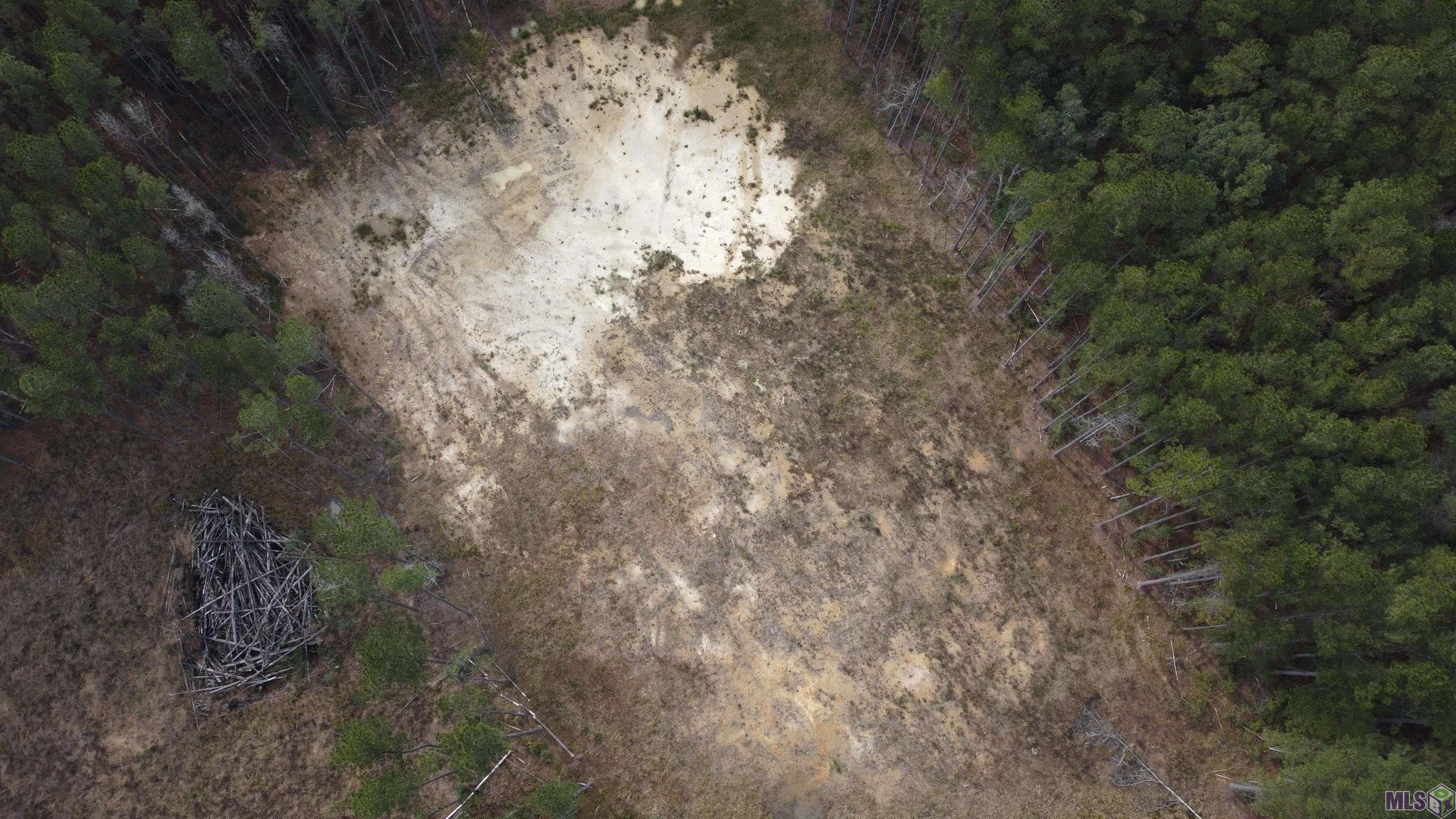 Lot 37 Nesom Road Denham Springs, LA 70706 - Photo 7 of 7