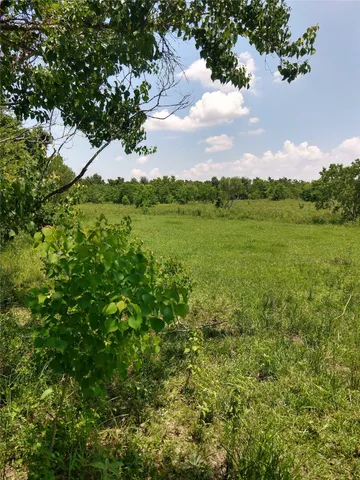 a view of a lush green outdoor space with a lake view