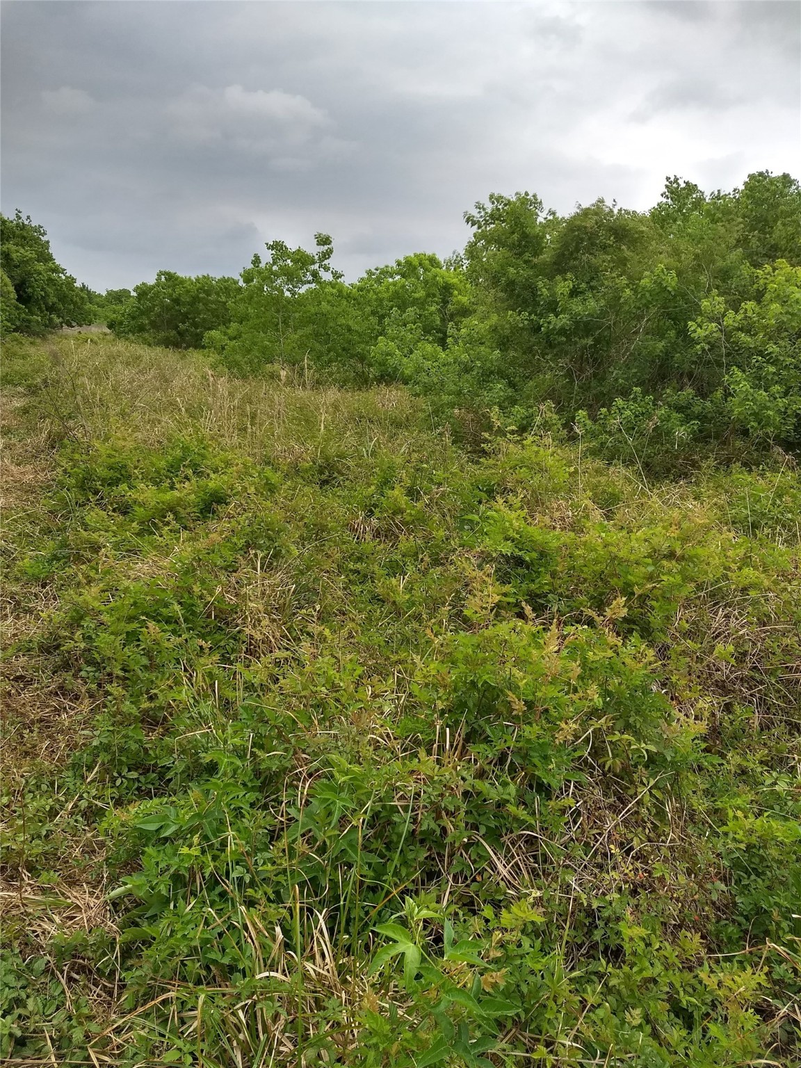 0 Morton Road Katy, TX 77493 - Photo 6 of 9 a view of a lake with houses