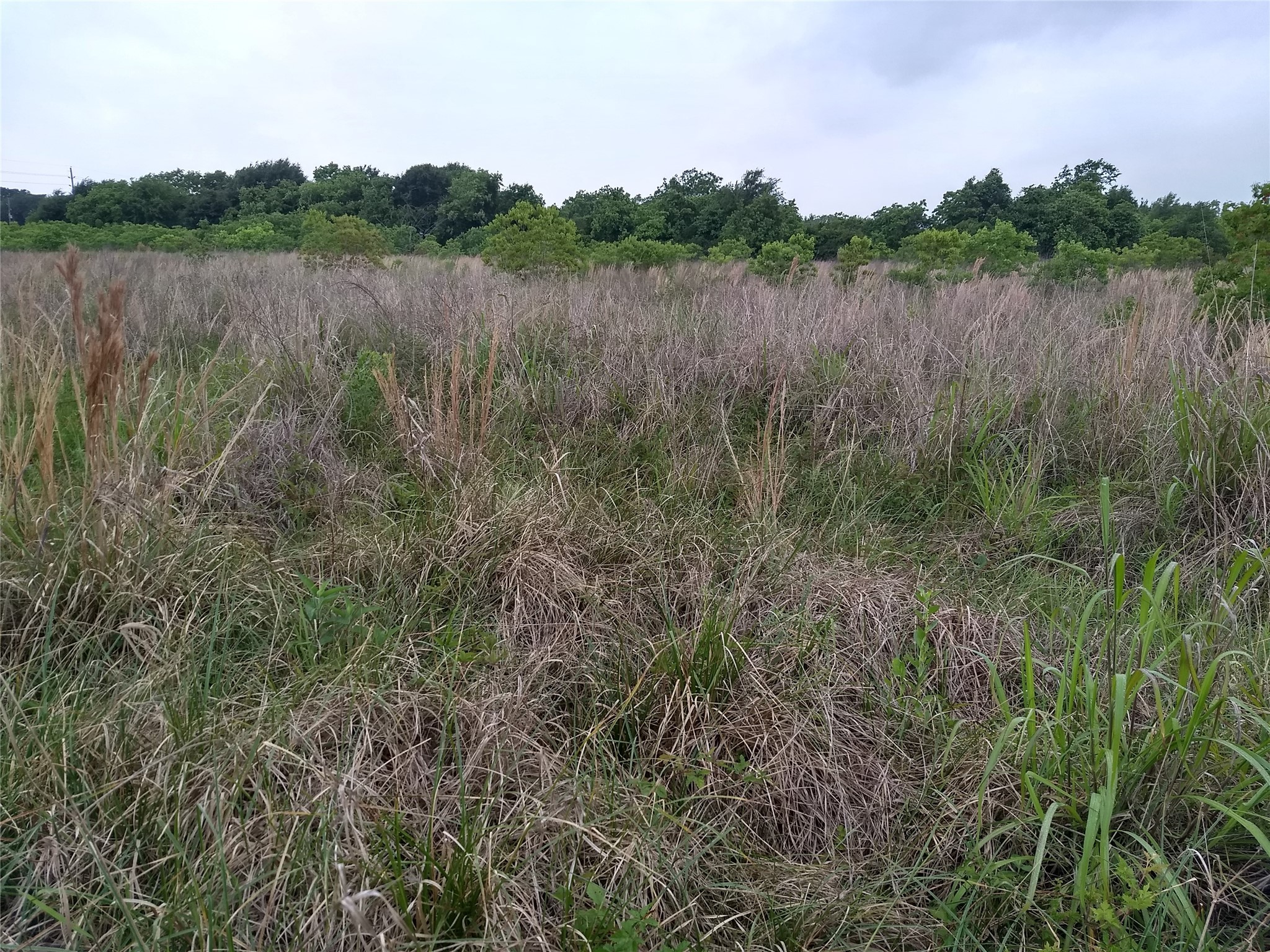 0 Morton Road Katy, TX 77493 - Photo 7 of 9 a view of lake with green space