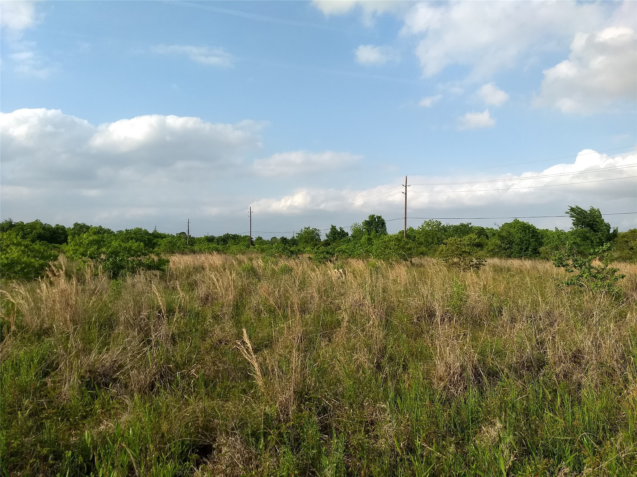 0 Morton Road Katy, TX 77493 - Photo 8 of 9 a view of a lake from a yard