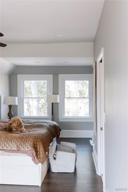 4249 Castleman Avenue St. Louis, MO 63110 - Photo 4 of 53