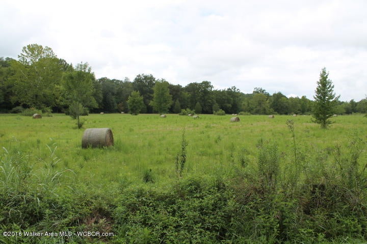 Crestview Road Cordova, AL 35550 - Photo 6 of 15 Gallery Image 6