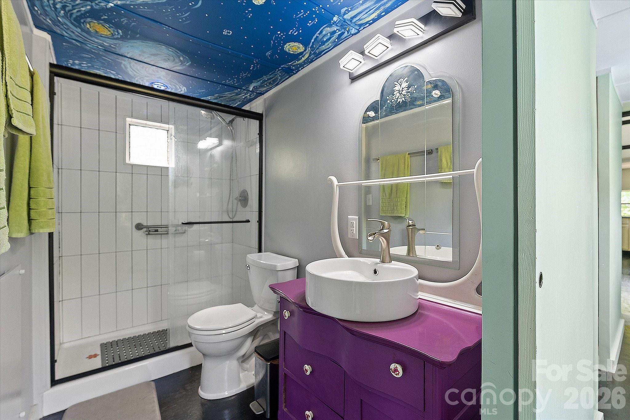72 Amos Creek Road Marshall, NC 28753 - Photo 12 of 28 a bathroom with a toilet a sink and mirror