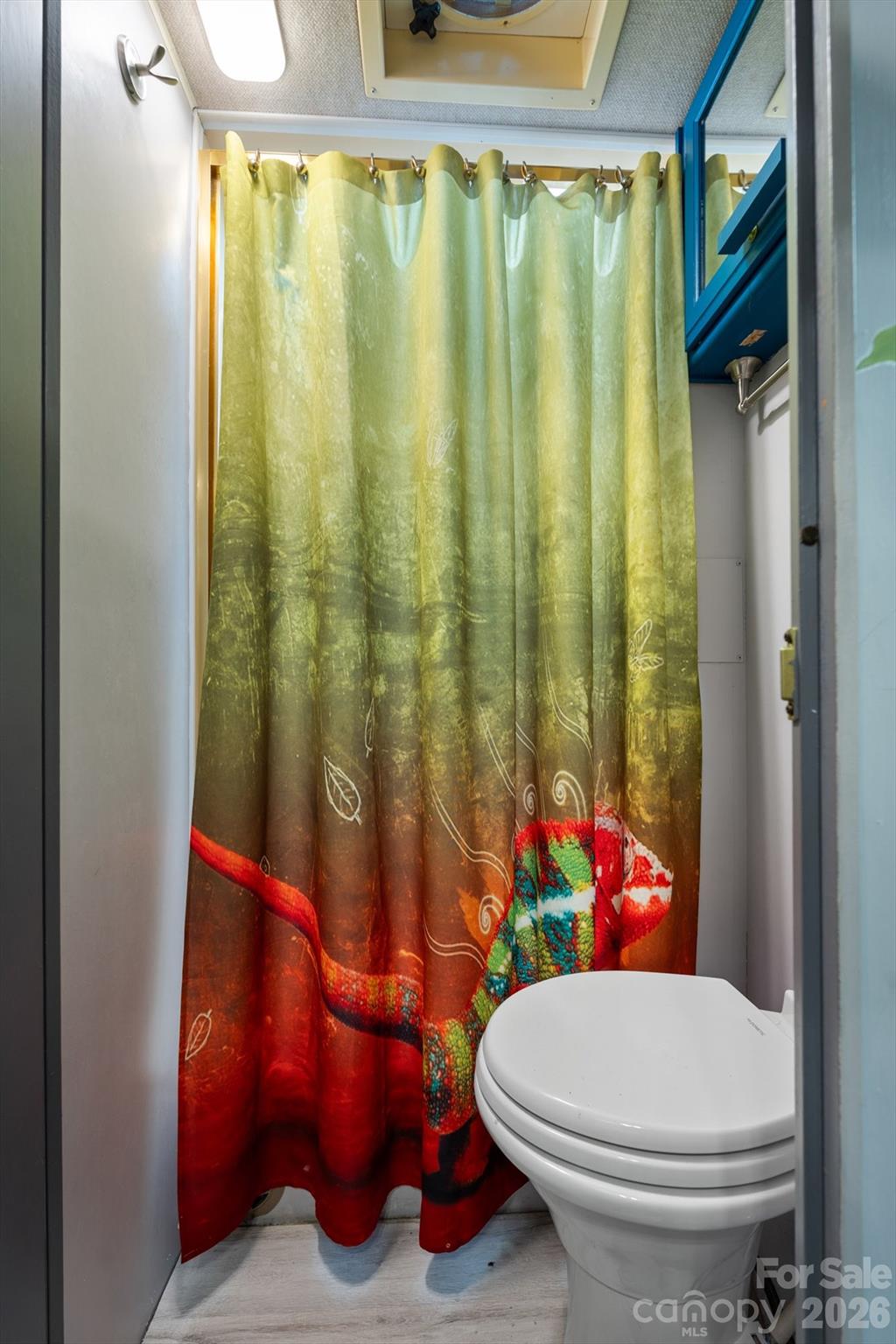 72 Amos Creek Road Marshall, NC 28753 - Photo 21 of 28 a bathroom with a toilet and shower curtain