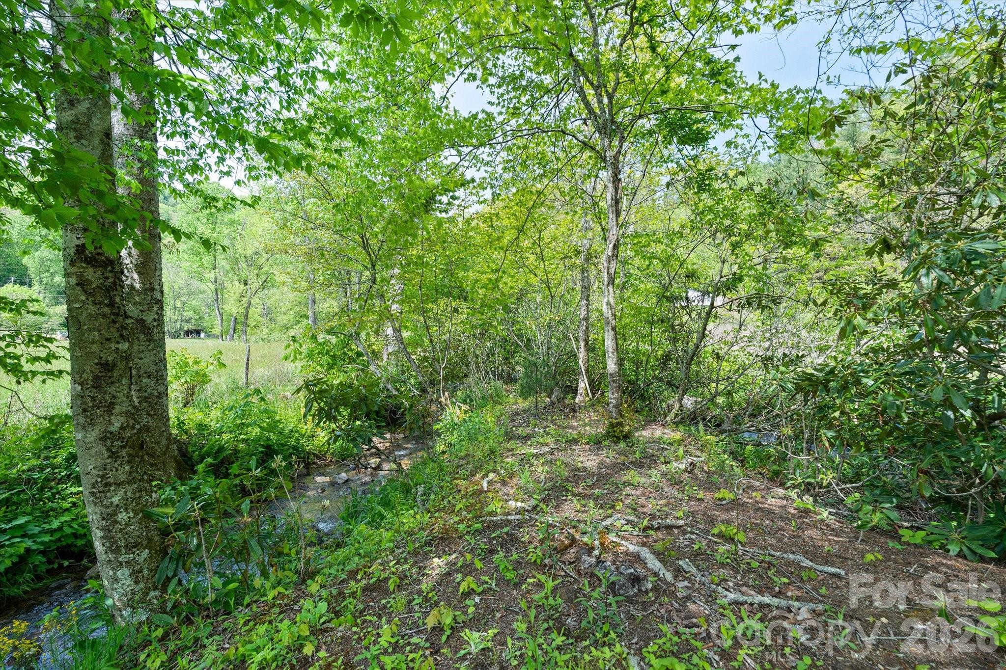 72 Amos Creek Road Marshall, NC 28753 - Photo 26 of 28 a view of a lush green forest