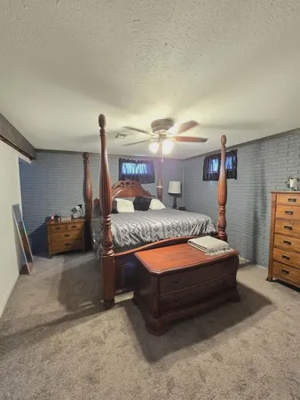 $225,000 | 645 Lyons Street, Lyons, MI 48851