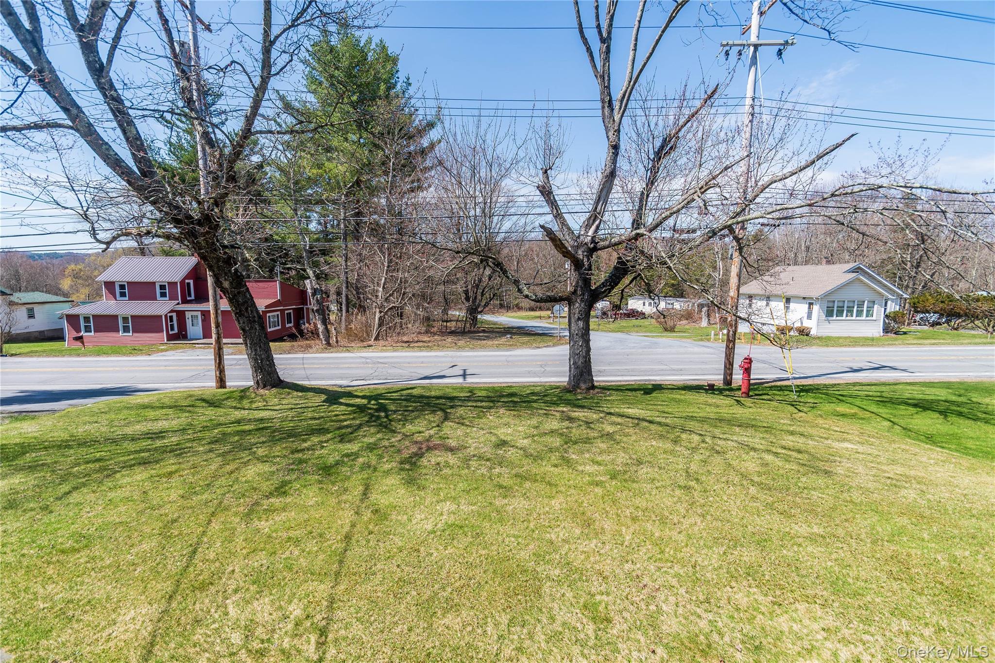 680 Old Rte 17 Livingston Manor, NY 12758 - Photo 25 of 29 a garden view