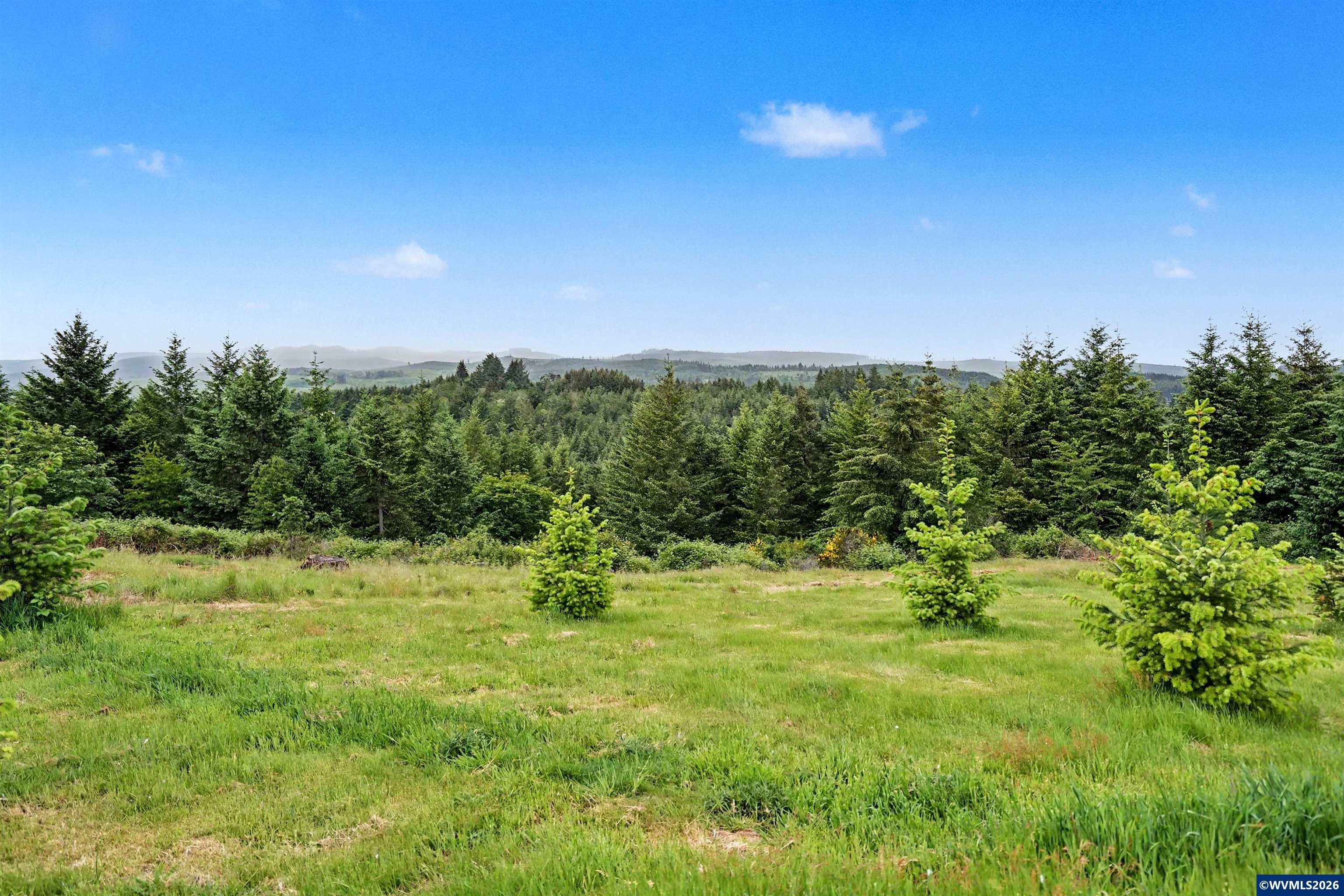 15991 Oakdale Road Dallas, OR 97338 - Photo 37 of 50