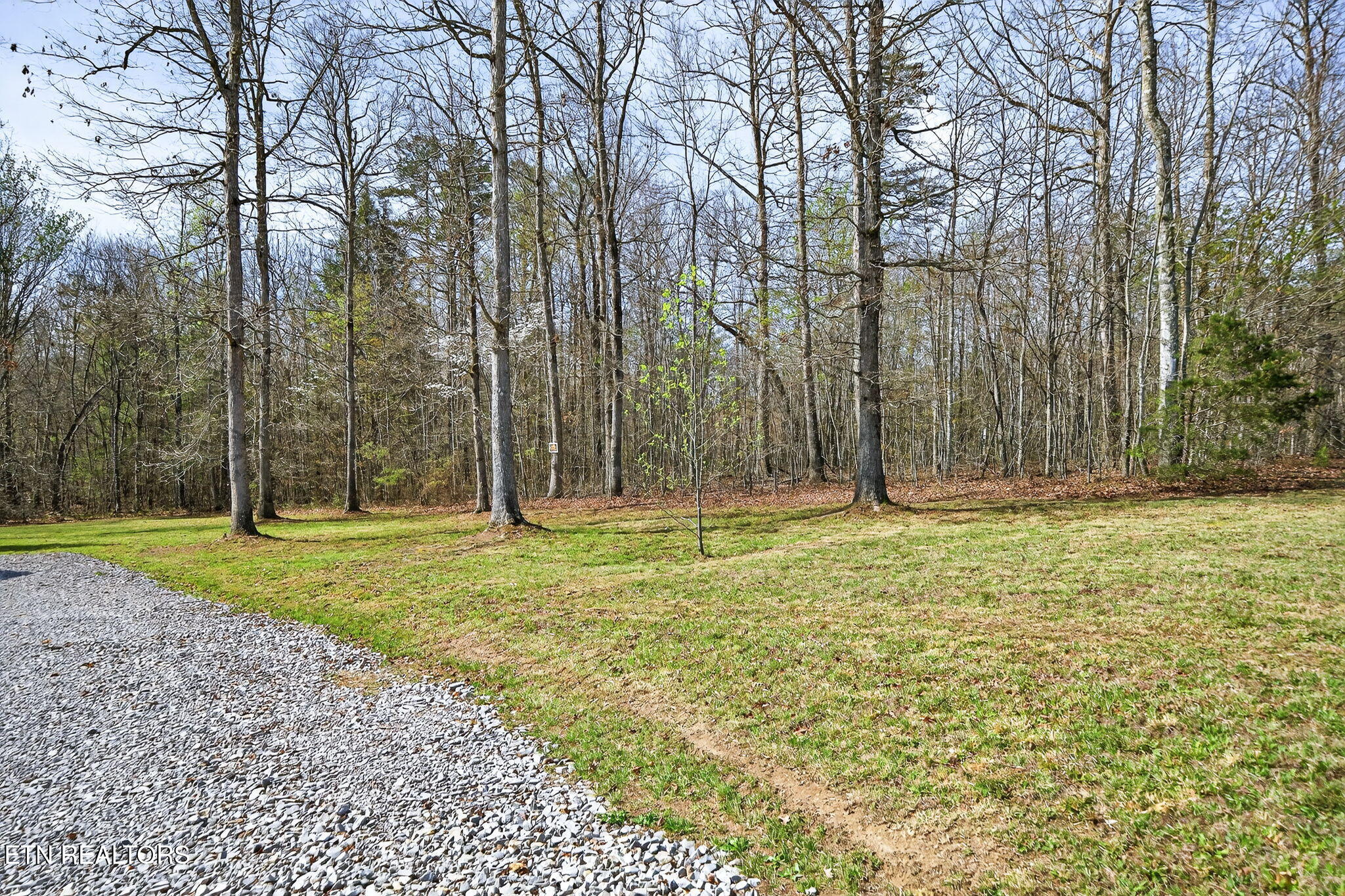 1085 Hargis Road Grimsley, TN 38565 - Photo 4 of 53 4-web-or-mls-1085 Hargis Rd_013_TNPC