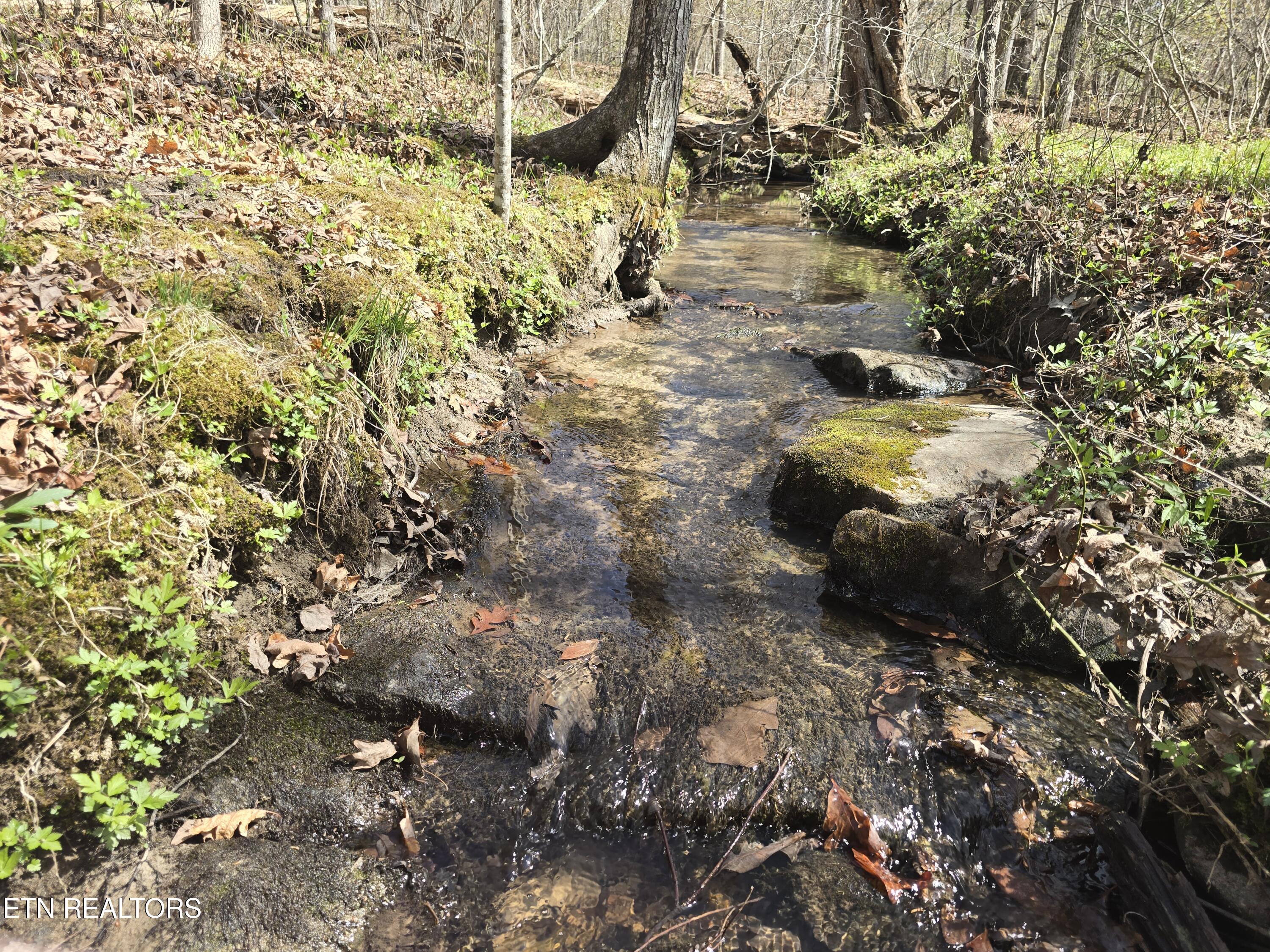 1085 Hargis Road Grimsley, TN 38565 - Photo 50 of 53 1085 Hargis Rd Grimsley creek 1