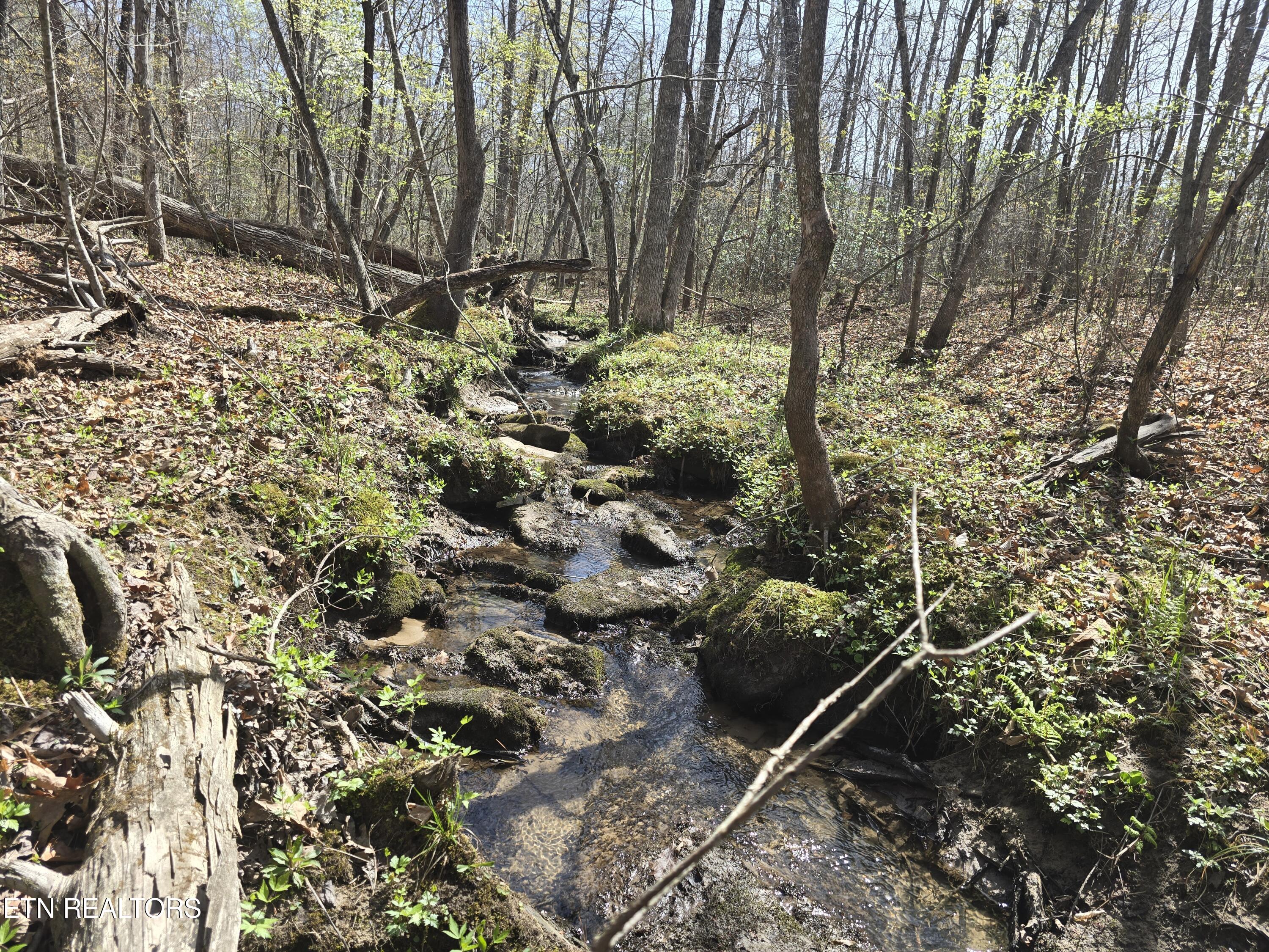 1085 Hargis Road Grimsley, TN 38565 - Photo 51 of 53 1085 Hargis Rd Grimsley creek 2