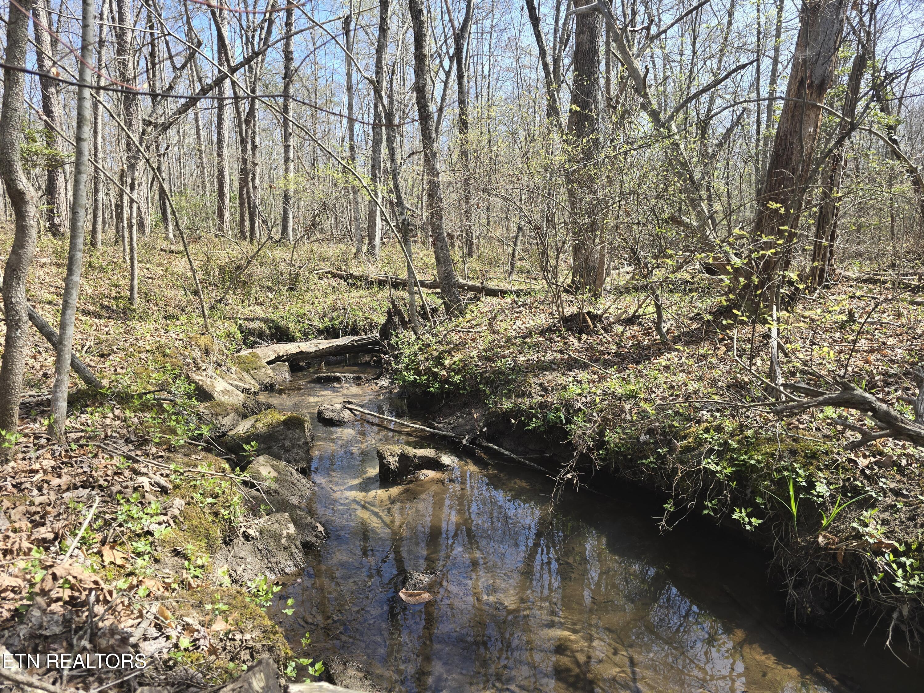 1085 Hargis Road Grimsley, TN 38565 - Photo 52 of 53 1085 Hargis Rd Grimsley creek 3
