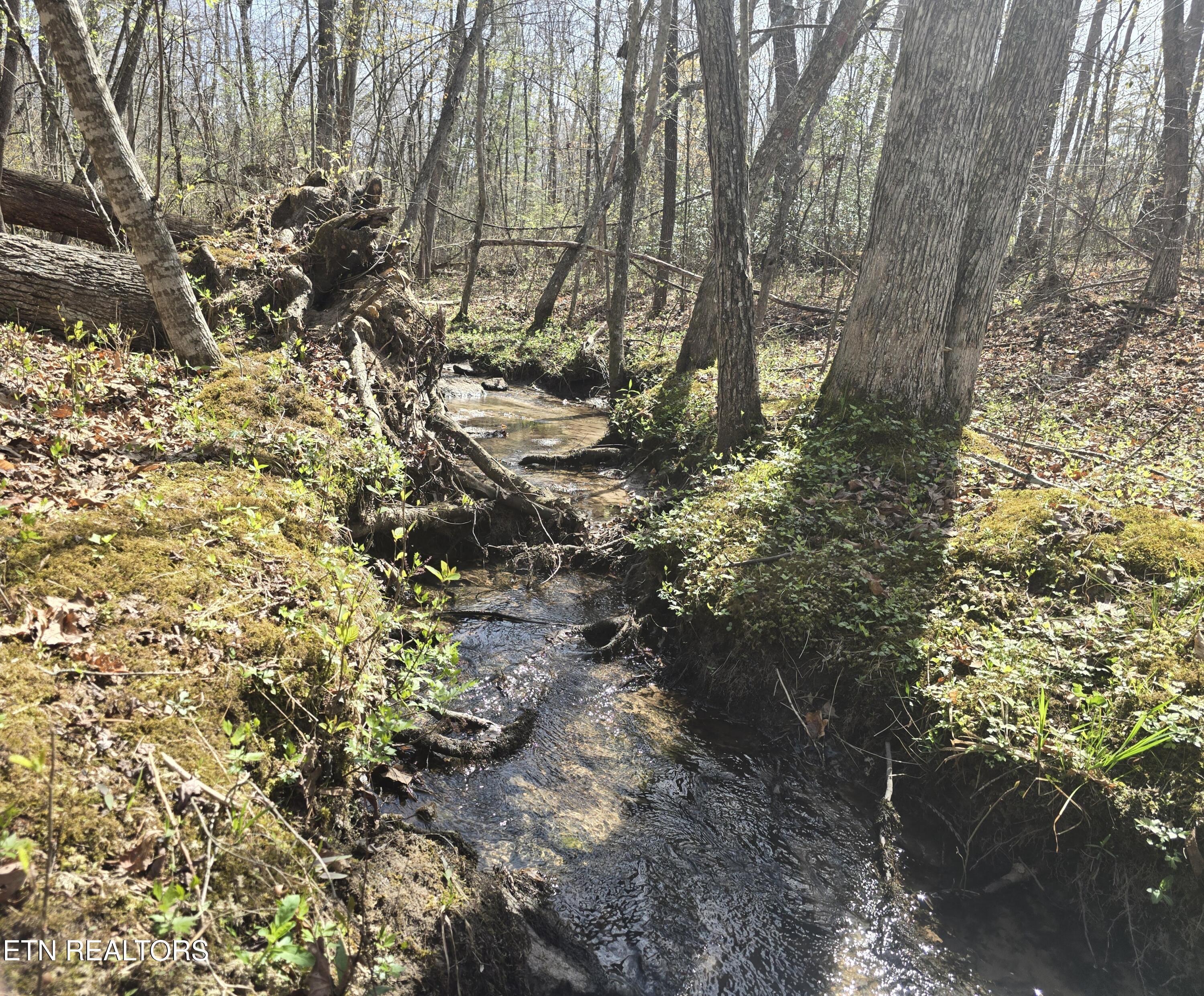 1085 Hargis Road Grimsley, TN 38565 - Photo 53 of 53 1085 Hargis Rd Grimsley creek 4