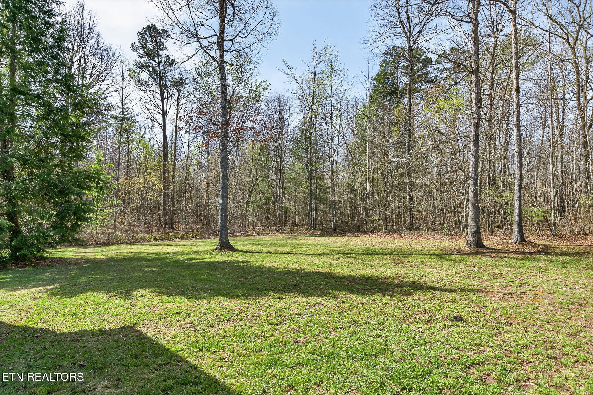 1085 Hargis Road Grimsley, TN 38565 - Photo 8 of 53 8-web-or-mls-1085 Hargis Rd_033_TNPC