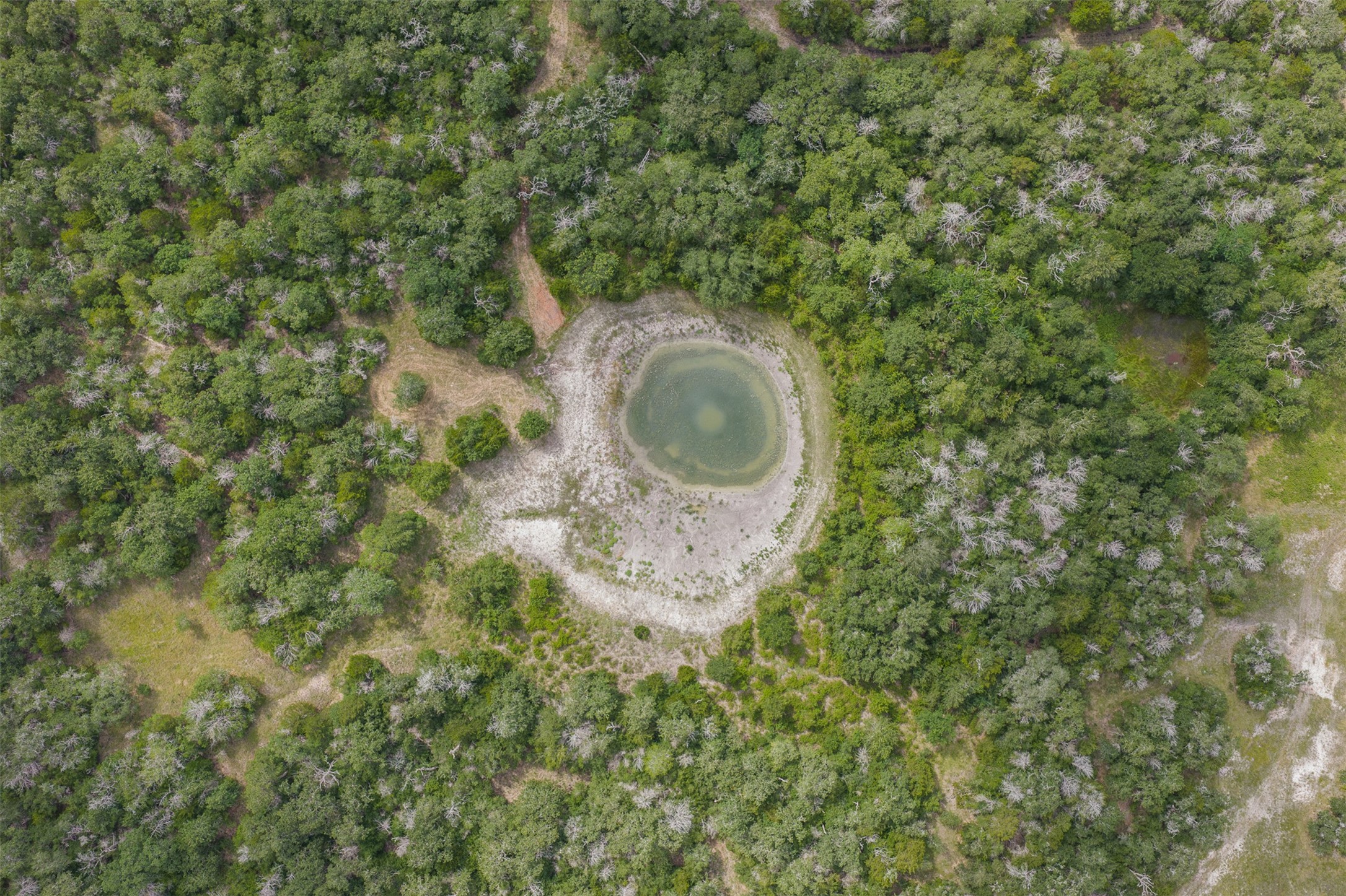 0 Schuster Road Round Top, TX 78954 - Photo 5 of 26