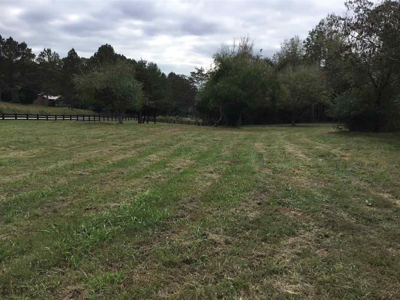 0 County Road 754 Riceville, TN 37370 - Photo 1 of 1