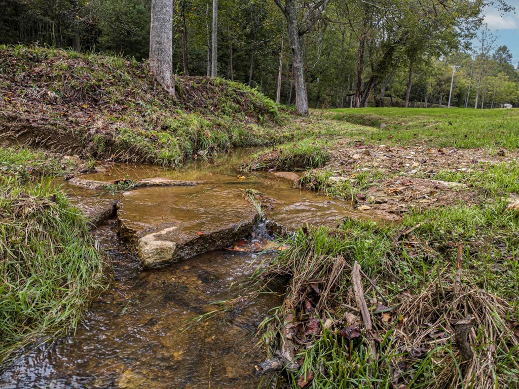 86 Valley Lake Road Mineral Bluff, GA 30559 - Photo 53 of 59 a view of a yard with a tree