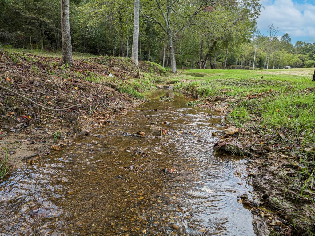 86 Valley Lake Road Mineral Bluff, GA 30559 - Photo 6 of 59 a view of outdoor space with trees all around