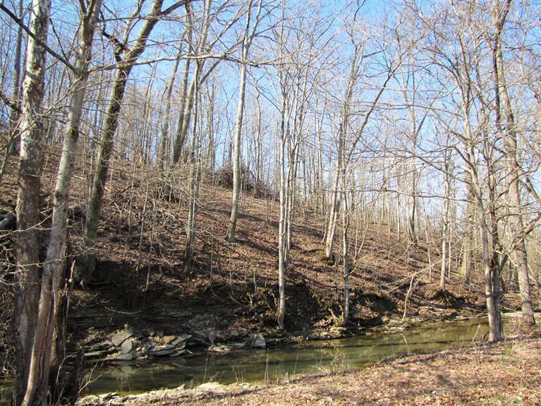 0 East Fork Road Ripley, OH 45101 - Photo 1 of 1