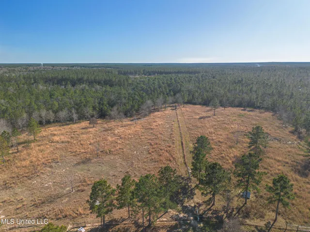 $599,999 | 49 Clear Lake Road, McHenry, MS 39561