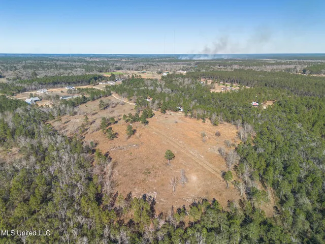 $599,999 | 49 Clear Lake Road, McHenry, MS 39561