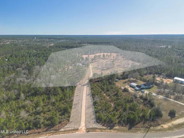 $599,999 | 49 Clear Lake Road, McHenry, MS 39561