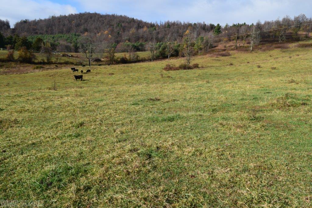 Tbd Fairview Church Road Southwest Floyd, VA 24091 - Photo 13 of 17 Gallery Image 13