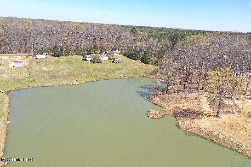 14491 Valley View Byhalia, MS 38611 - Photo 12 of 15 Photo Mar 26 2025, 09 36 56 (12)